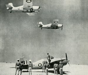 Wüstengeschwader - Flugzeuge der Fleet Air Arm während des Zweiten Weltkriegs, ca. 1943 von Unbekannt