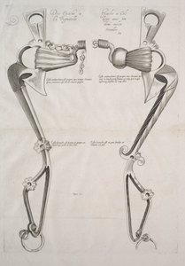 Diagramm für Pferdegebiss, 1700er von Unbekannt