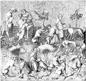 Krankheiten von Hunden und ihre Heilungen, 14. Jahrhundert, 1849
