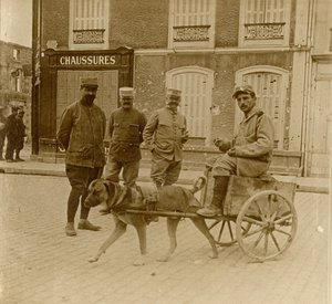Hundewagen, Frankreich, ca. 1914-1918