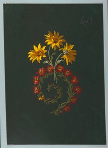 Zeichnung, aus Saint Germain - Bände 1 & 2