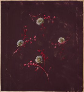 Zeichnung, aus Saint Germain - Bände 1 & 2, ca. 1896