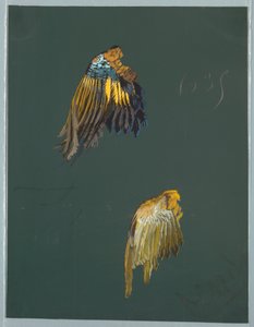 Zeichnung, aus Saint Germain - Bände 1 und 2