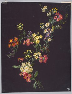 Zeichnung, aus Saint Germain - Bände 1 und 2