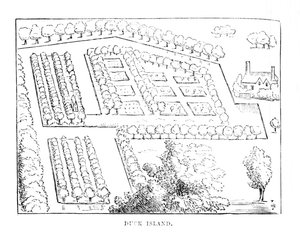 Duck Island, um 1870 von Unbekannt