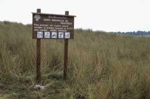 Dünen-Schutzschild von Unbekannt