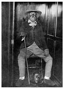 Effigie von Jeremy Bentham mit seinem einbalsamierten Kopf, University College, London