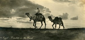 Ägypten - Abenddämmerung in der Wüste von Unbekannt