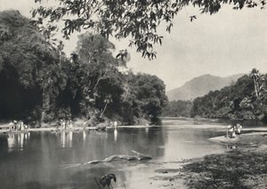 Elefantenbadeplatz an der Mahavaliganga bei Kandy, 1926 von Unbekannt