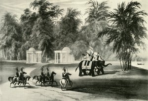 Elefanten und Leibwache im Barrackpore Park, 1820, 1925