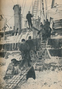 Hunde trainieren, 1936