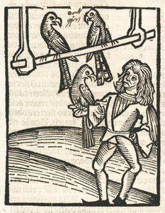Falkner mit Habichten