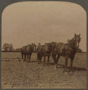 Landwirtschaft in England - Eggen des Landes, 1909