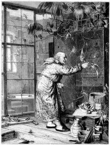 Haustiere füttern, 1880
