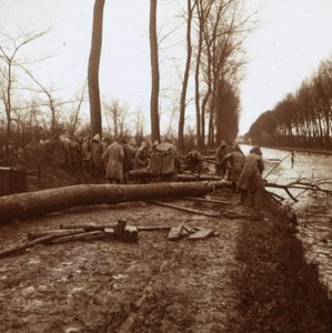 Bäume fällen, Noyon, Nordfrankreich, ca. 1914-1918