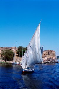 Feluccas auf dem Nil, Elephantine-Insel bei Assuan, modernes Ägypten von Unbekannt
