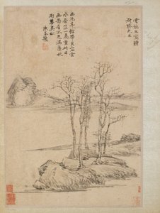 Fünf Bäume auf einem felsigen Vorgebirge, Qing-Dynastie, 17.-18. Jahrhundert von Unbekannt