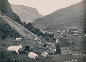 Flaam, 1914