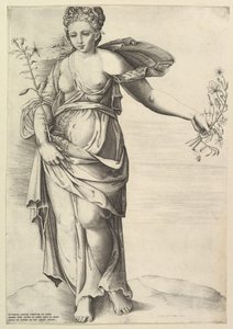Flora
