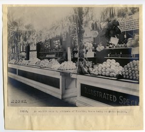Florida Gartenbauausstellung im Palast der Gartenbaukunst auf der Weltausstellung 1904 von Unbekannt