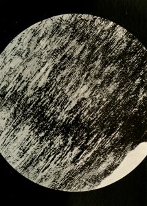 Fossiles Holz im Sandstein, von einer Moräne in 85° südlicher Breite, ca. 1908, 1909