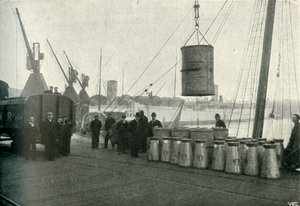 Französische Milch wird in Southampton angelandet, 1902 von Unbekannt