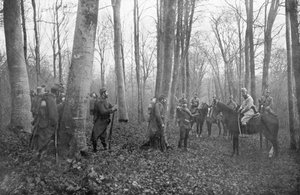 Französische Patrouillen im Wald von Argonne, Frankreich, 1915 von Unbekannt