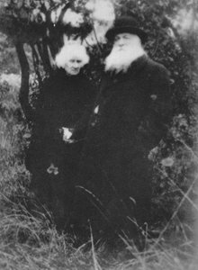 Der französische Bildhauer Auguste Rodin im Park seiner Villa in Meudon, 1916 von Unbekannt