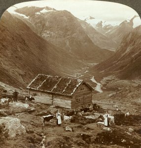 Vom Berghotel in Vidde saeter hinunter ins Vidde-Tal - Mt. Skaala in der Ferne, um 1905