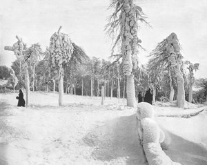 Frostarbeit im Prospect Park, Niagara, USA, ca. 1900