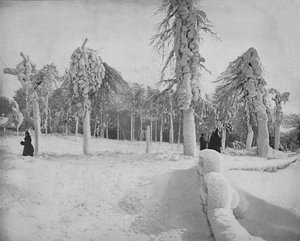 Frostarbeit im Prospect Park, Niagara, ca. 1897