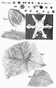 Gefrorene Materialien, betrachtet von dem englischen Mikroskopiker Robert Hooke