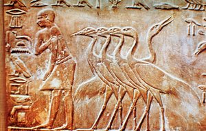 Gänse, Wandrelief aus dem Grab des Ptahhotep, Saqqara, Ägypten, 24. Jahrhundert v. Chr. von Unbekannt