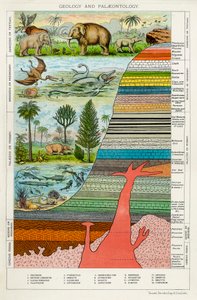 Geologie und Paläontologie von Unbekannt