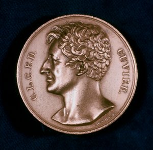 Georges Leopold Chretien Frederic Dagobert, Baron Cuvier, französischer Anatom, 19. Jahrhundert von Unbekannt