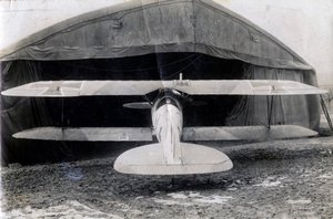 Deutscher Albatros DV, Souilly, Frankreich, 2. Januar 1918 von Unbekannt