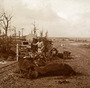 Deutsches Pferdegespann, Tahure, Nordfrankreich, ca. 1914-1918 von Unbekannt
