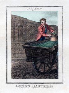 Green Hasteds, Newgate, London, 1805 von Unbekannt
