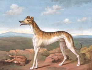 Windhund: nach links gewandt, mit einem toten Hasen zu seinen Füßen, ca. 1805