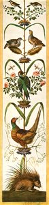 Groteske Malereien aus den Loggien des Vatikans, Rom, Italien, 1928 von Unbekannt