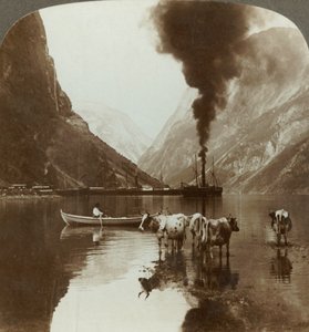 Gudvangens Aussicht über den Naerofjord, wo das Meer weit in die Berge reicht, Norwegen von Unbekannt