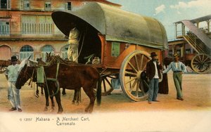 Habana - Ein Händlerkarren, Carromato, ca. 1910 von Unbekannt