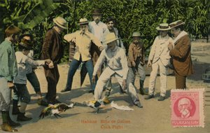 Habana: Rina de Gallos. Hahnenkampf, 1918 von Unbekannt