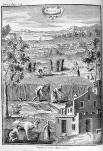 Ernte, 1775