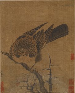 Falke auf einem blattlosen Ast, Möglicherweise Yuan-Dynastie, 1279-1368 von Unbekannt