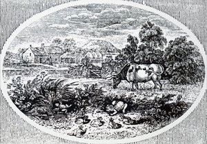 Kopfstück von Thomas Bewick von Unbekannt