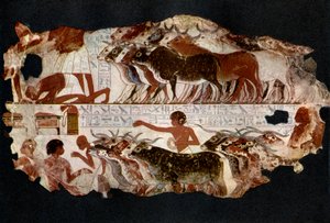 Rinderherden aus der Zeit der 18. Dynastie, Ägypten, ca. 1400 v. Chr., 1936 von Unbekannt