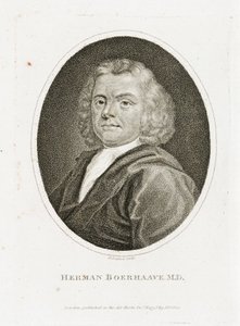 Herman Boerhaave, niederländischer Arzt, Chemiker und Botaniker, frühes 18. Jahrhundert