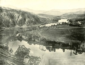 Hopfengärten in Tasmanien, 1901 von Unbekannt