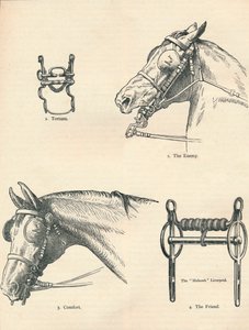 Pferdegebisse, gut und schlecht, um 1909-1910 von Unbekannt